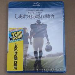 しあわせの隠れ場所('09米)