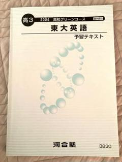 河合塾2024年東大英語セット（解説つき） 河合塾 東京大学 東大英語/要約・和訳・総合 テキストセット