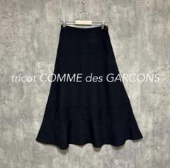 トリココムデギャルソン Aラインロングスカート フレア ウール 黒ブラック 楽天市場】tricot comme des garcons スカートの通販