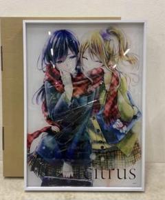 2025年最新】citrus サブロウタの人気アイテム - メルカリ
