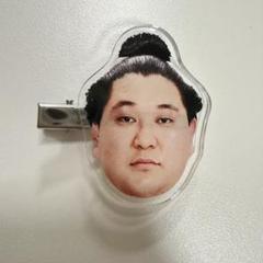 狼雅　ヘアピン　相撲　フェイスヘアピン