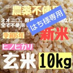 くず米/飼料用24kg（令和6年産 農薬不使用/自然農法・自然栽培