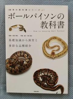 洋書　PYTHON REGIUS ボールパイソンの飼育ガイド 71hj1EdxlmL._UF1000,1000_QL80_.jpg