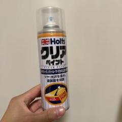 Holts クリアペイント300のサムネイル