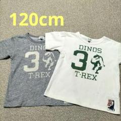 【2枚セット】F.O.KIDS エフオーキッズ　恐竜　Tシャツ　120cm