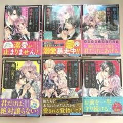 極上男子は、地味子を奪いたい。 全巻セット