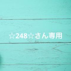 ☆248☆さん専用