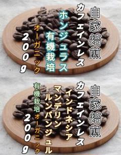【コーヒー生豆】マンデリンG1-2kg /インドネシア/ジャバロブ2kg※送無 楽天市場】生豆コーヒーマンデリン G-1 (2kg入) ：【RCP