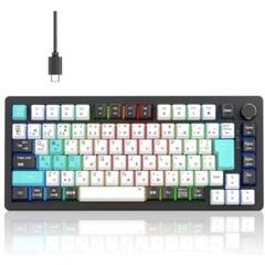 ❤️大特価❤️ メカニカルキーボード　ガスケット　82キー　日本語配列　サテライト軸 新品 大特価 ラスト1点 メカニカルキーボード ガスケット 82キー