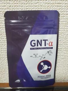 GNT-a 1袋
