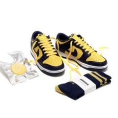 atmos CHICSTOCKS&AVIC SUNFLOWER SHOELACE