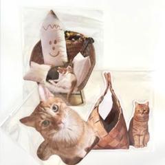 石田ゆり子＆Closs＆Cross　ハニオ猫イラストTシャツとキーホルダーセット 2025年最新】生活のたのしみ展 石田ゆり子 キーホルダーの人気