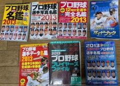 プロ野球選手名鑑・データセット 2013