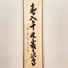 3047 藤井誡堂「春入千林処々鶯」 共箱 肉筆 紙本 書 掛軸 大徳寺 禅語 3972 藤田寛道「春入千林処々鶯 」 共箱 肉筆 紙本 掛軸 大徳寺