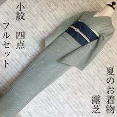 紗袷(附け下げ)　( 流水に花紋様　未使用しつけ糸付き 2025年最新】紗袷せ付け下げ訪問着の人気アイテム - メルカリ
