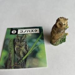 彩色済　カバヤ「日本の小鳥」シリーズ　41体コンプリート 彩色済 カバヤ「日本の小鳥」シリーズ 41体コンプリート