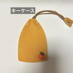 保護プルアウトキーケース、キーキーホルダー、プルアウトかわいい車のキーケース