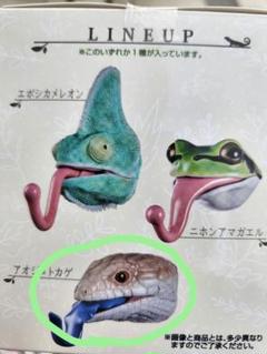 爬虫類 両生類 一番くじ レプタイルズヘッドマグネット D賞 3種コンプ 一番くじ爬虫類＆両生類 D賞⭐レプタイルズヘッドマグネット