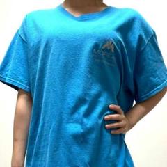 MOREAU フィジカル セラピー Tシャツ ブルー 青 古着