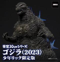 東宝30cmシリーズ ゴジラ(2023) 少年リック限定版 - メルカリ