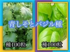 青しそ種100粒 とスイートバジル種100粒