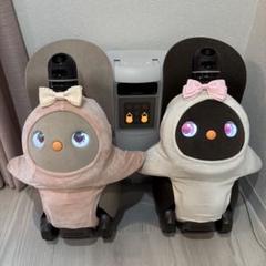 【18日まで値下げ】ラボット 本体 デュオ