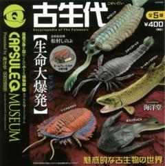 カプセルQ 古生代 全5種コンプセット - メルカリ