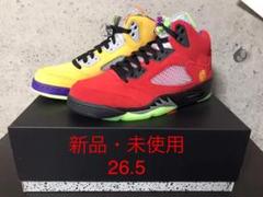 NIKE AIR JORDAN 5 RETRO SE What the