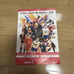 オールジャパン　ミズノ　パーカー　全日本インカレ　大学バレー　Lサイズ オールジャパン ミズノ パーカー 全日本インカレ 大学バレー Lサイズ