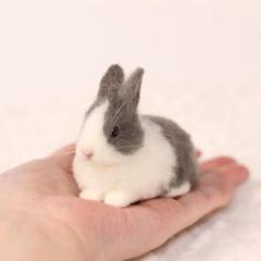 うさぎ 羊毛フェルト ダッチ ライラック ハンドメイド うさぎ 羊毛フェルト ダッチ ライラック ハンドメイド - メルカリ