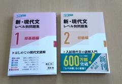 新・現代文レベル別問題集