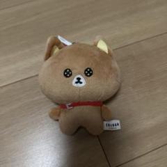 one n’ only ぬいぐるみ 商品詳細ページ | ONLINE SHOP スタダ便 会場受取 | ＜会場受取