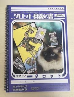 ソニックさん タロット奥義の書（改訂版） タロット奥義の書(改定版) タロットソニックドットコム