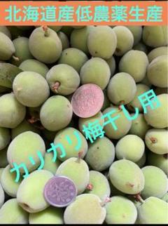 SoRi.official 函館近郊産梅20キロサイズおまかせ 函館近郊産豊後梅1kgサイズM S混合❣️ - メルカリ
