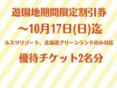 グリーンランド フリーパスの中古 未使用品 メルカリ