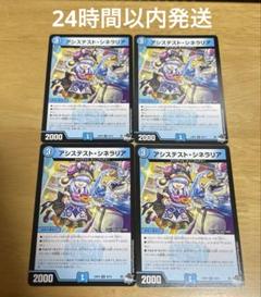 アシステストシネラリア 4枚セット