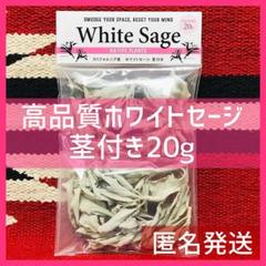 セール中❤️② ホワイトセージ 高品質 上質 無農薬 茎付20g