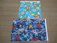 はぎれ セット ポケモン ゾイド 生地