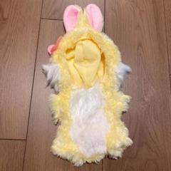 ユニベア コスチューム