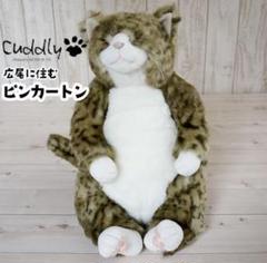 楽天市場】ぬいぐるみ 猫 ねこ ちびピン カドリー Cuddly 癒し