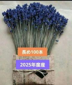 中富良野ラベンダードライフラワー長め100本 - メルカリ