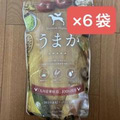 ドッグフード　うまか　　2袋セット　未開封 ドッグフード うまか30g（お試しサイズ） | 華ちゃん犬猫