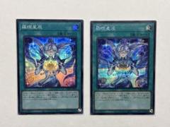 ドラゴンテイル アルザリオン ルキアス ファイメナ ムルル ラーフドラゴンテイル 星辰竜ムルル【スーパー】{DBJH-JP005}《モンスター》