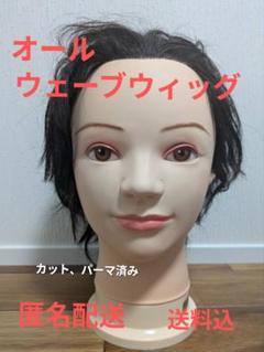2025年最新】オールウェーブウィッグの人気アイテム - メルカリ