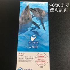 ♡ロードランナー様専用♡新江ノ島 水族館 入場券 大人 1枚