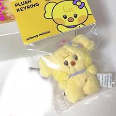 IVE POPUP minive minini レイ naori narini IVE x LINE FRIENDS MINIVE MININI SWITCH STARSHIP STORE POP