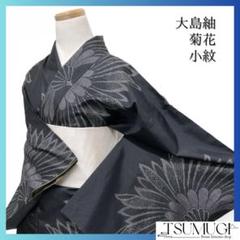 美品 正絹 単衣 トールサイズ 大島紬 訪問着 着物 A2085 美品【本場大島紬】正絹 染大島紬 訪問着s776 | 着物 夢美月