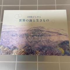【切り取りなし書き込みなし】世界の海と生きもの　便せん　びんせん　100枚