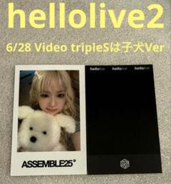 tripleS Assemble25 hellolive2 子犬 ソヨン