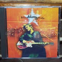 ランキング2025 Bryan Adams レコードまとめ売りブライアンアダムス☆3枚全て美盤 洋楽